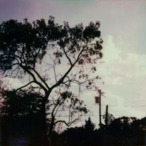 芒果浏览器3p白虎妹妹成人在线潮喷颜射
